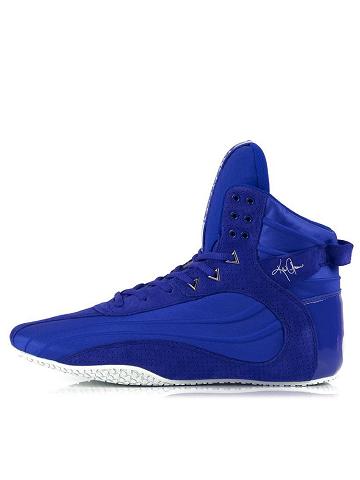 Ryderwear Men Shoes Kai Greene Signature D-Mak Men's Shoes Blue | CA2551OR